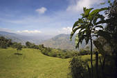 tkm001_478166