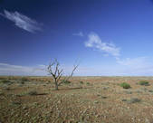 tkm001_490845