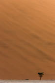 tkm001_499566
