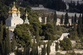 tkm001_503829