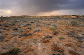 tkm001_512341