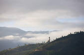 tkm001_520791