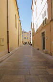 tkm001_529043