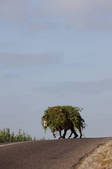 tkm001_538974