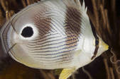 tkm001_540578