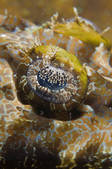 tkm001_540607