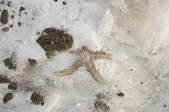 tkm001_540900