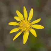 tkm001_541198