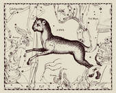 tkm001_543163