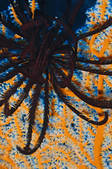 tkm001_544779