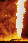 tkm001_545688