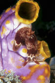 tkm001_546015