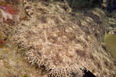tkm001_546145