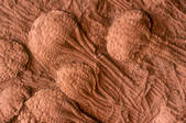 tkm001_547225