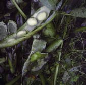 tkm001_590274