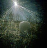 tkm001_590280