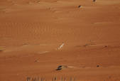tkm001_623526
