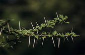 tkm001_707075
