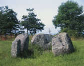 tkm001_752557