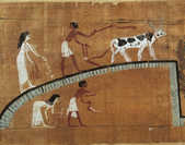 tkm001_754730