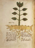 tkm001_759555