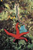 tkm001_770008