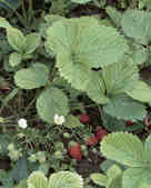 tkm001_770161