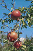 tkm001_770373