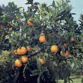 tkm001_770416