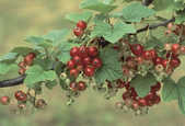 tkm001_770450