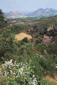 tkm001_774272