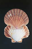 tkm001_780043