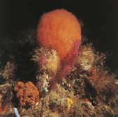 tkm001_780071