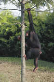 tkm001_780072