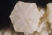 tkm001_781284
