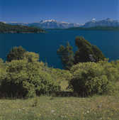 tkm001_782095