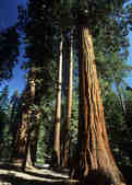 tkm001_785767