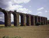 tkm001_786780