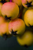 tkm001_800798