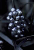 tkm001_800943