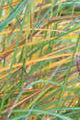 tkm001_801056
