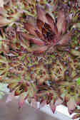 tkm001_804203