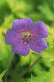 tkm001_804534