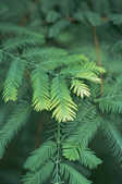 tkm001_804934