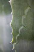 tkm001_805621