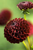 tkm001_806154