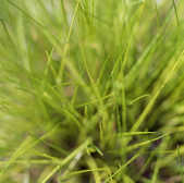 tkm001_807087