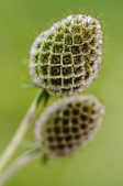 tkm001_808258
