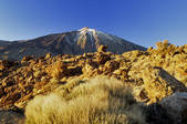 tkm001_816564