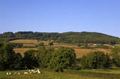 tkm001_817934